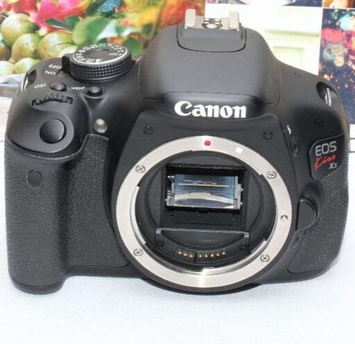❤️予備バッテリー&新品カメラバッグ付❤️Canon EOS kiss x5❤️②