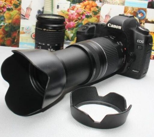 ❤️予備バッテリー付❤️Canon EOS 5D mark II 超望遠ダブル②