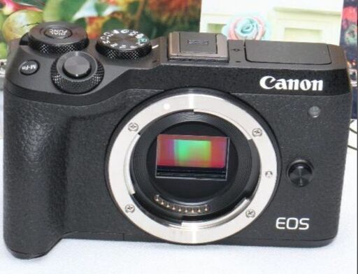 ❤️万能レンズ&予備バッテリー付❤️Canon EOS M6 MARK II❤️