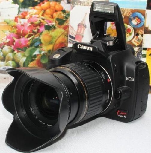 ❤️一眼レフはやっぱりキャノン❤️Canon EOS kiss N❤️