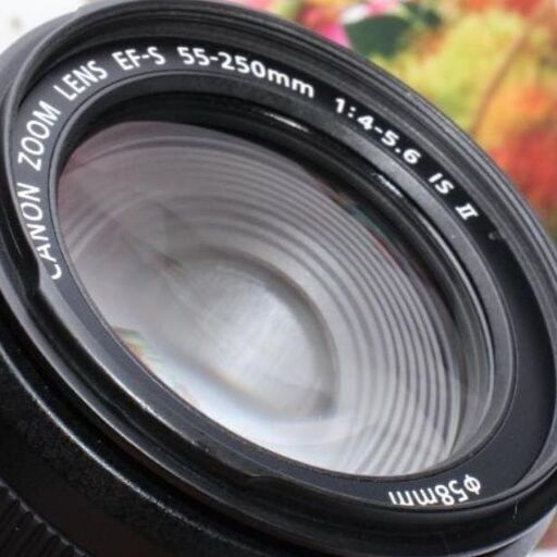 Canon用マウントアダプター＆EF-S 55-250 mm IS II ❤️Canon用マウントアダプター＆EF-S 55-250 mm IS II❤️