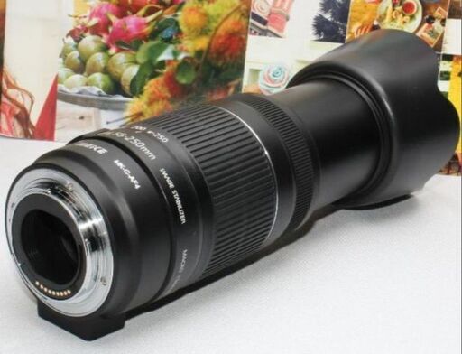 Canon用マウントアダプター＆EF-S 55-250 mm IS II ❤️Canon用マウントアダプター＆EF-S 55-250 mm IS II❤️