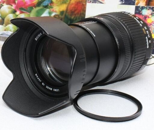 ✨希少品✨❤️１本で近遠対応❤️SIGMA 18-125mm ニコンマウント❤️