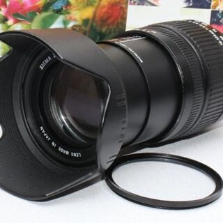 ✨希少品✨❤️１本で近遠対応❤️SIGMA 18-125mm ニ...