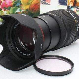 ⭐️希少品⭐️❤️これ1本で近遠対応❤️シグマ 18-200mm...