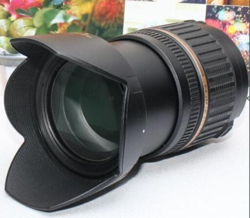 ❤️希少品❤️タムロン 17-50mm XR DiⅡ SP ニコン用❤️