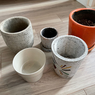 植木鉢　オシャレ　美品　植物　