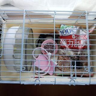小動物飼育グッズ
