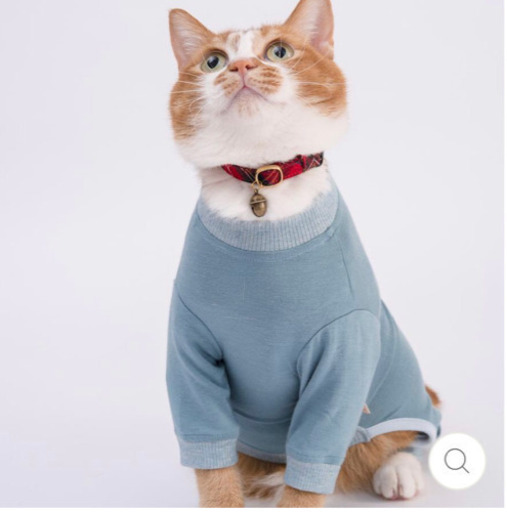 決まりました❣️新品未開封品 獣医師推奨 猫に優しい皮膚保護服キャットプロテクションスーツ - M / ブルー × 1