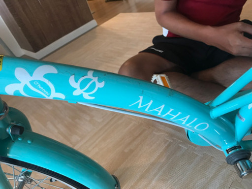 子供自転車 18インチ エメラルド　ハワイテイスト