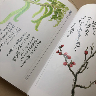 星野富弘　花の詩画集の画像