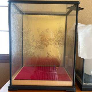 【差し上げます】人形ケース