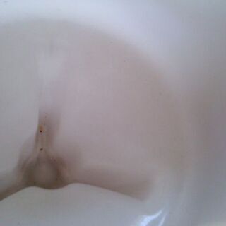 サビキ釣り用バケツの画像