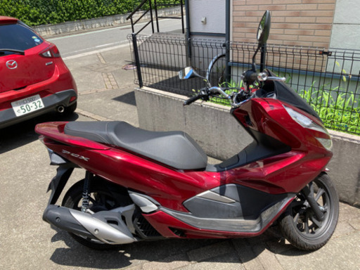 人気のHONDA PCX125 JF-81 走行約二千キロ　セラミックコーティング済み　値引き可　極上品