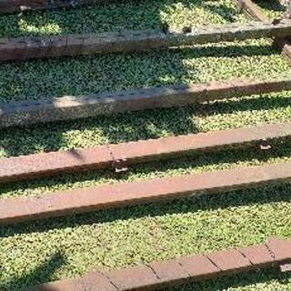 🎍🌈🌈🎍小屋のベース　基礎付き　鉄骨　一本あたり　８本🎍🌈🌈🎍