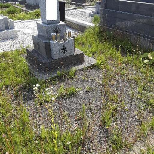 お盆前に‼️お墓の整備いかがでしょうか⁉️