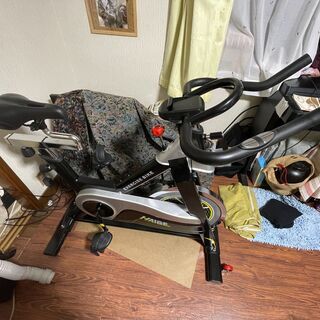 難有 HAIGE スピンバイク エアロフィットネス HG-YX-...