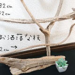 流木止まり木・バードタワーNo.24の画像