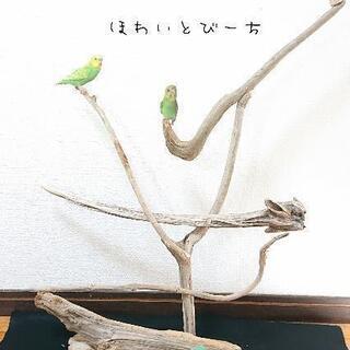 バードジムの中古が安い！激安で譲ります・無料であげます