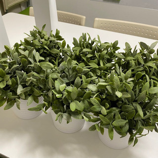 IKEA 人工観葉植物＋植木鉢 6個セット