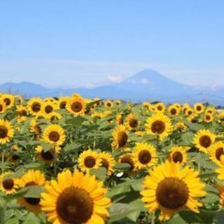 8/7(土) あにおた日帰り夏旅行オフ☀