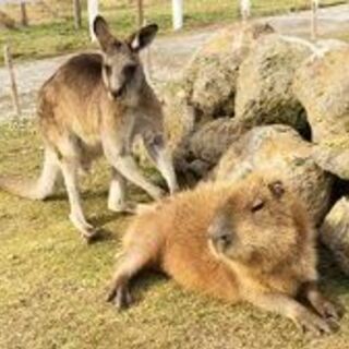 8/7(土) あにおた日帰り夏旅行オフ☀ - 新宿区