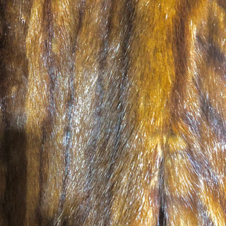 100万円以上した本毛皮のストール、コートお譲りします。の画像