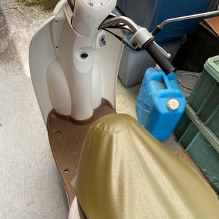 ホンダ　スクーピーの画像