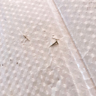 【ネット決済・配送】ピクニックシート　レジャーシート　グランドシート　キャンプ　花見　BBQ  Picnic leisure ground blanket sheet camping hanami bbqの画像