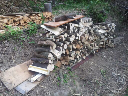 広葉樹　針葉樹　薪