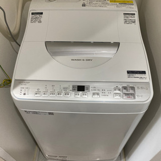 2019年製　SHARP 乾燥付き縦型洗濯機　5.5.kg/3.5kg