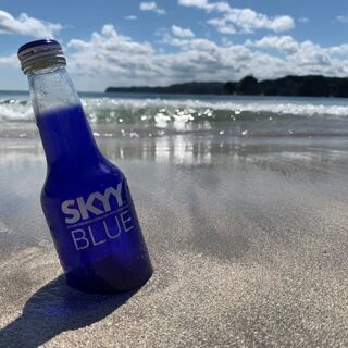 夏の思い出作り🌊ウォーターアスレチック🌊川崎・横浜周辺より送迎も検討🚙