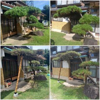 剪定、除草、庭に関してお困りごとありましたら、連絡下さい！ − 佐賀県
