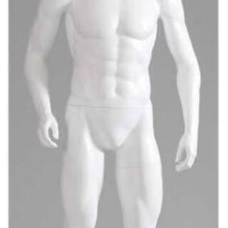 男性全身マネキン譲ってください。