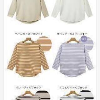 パープル　ボーダー　カットソーMの画像