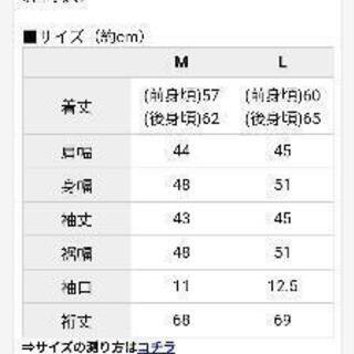 パープル　ボーダー　カットソーMの画像
