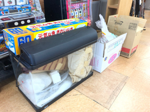 決まりました 水槽いろいろセット 60×30 始められる方！