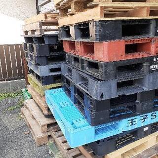 プラパレット中古　10枚③