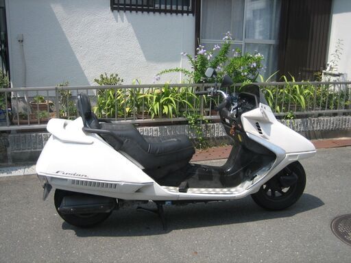 フュージョンX 後期型　ノーマル仕様  動画有り