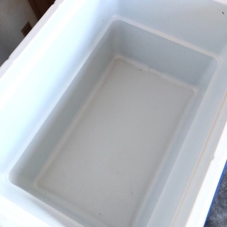 コールマンハード、ソフト各種クーラー3個及び食器乾燥ネットの4点セットの画像