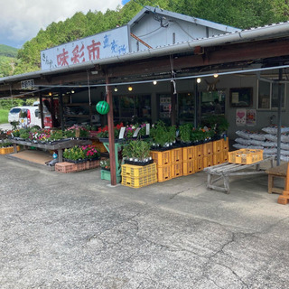 長崎限定　昆虫展示販売　きんかい味菜市　7月30日　14時オープン予定