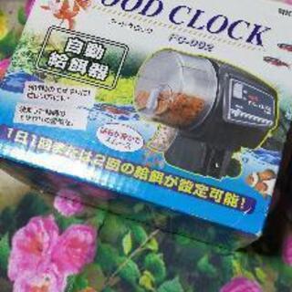 GEX フードクロック　