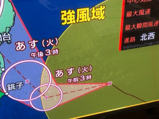 【取引決定】プラズマテレビ42型 Panasonic VIERA  TH-P42S2