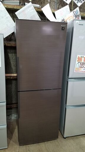 【愛品館市原店】SHARP 2019年製 280L 2ドア冷蔵庫　ﾌﾟﾗｽﾞﾏｸﾗｽﾀｰ搭載 　SJ-PD28ET【管理IR013456-105】