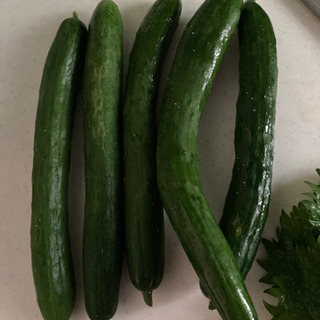 夏野菜