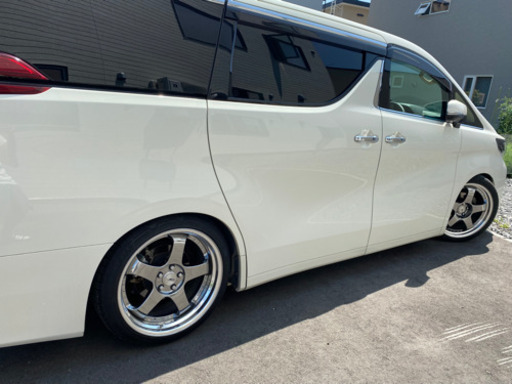 SSR プロフェッサー SP1 20インチ