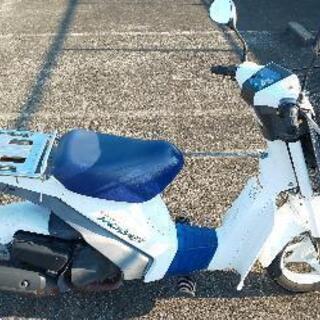 スズキ スーパーモレの画像