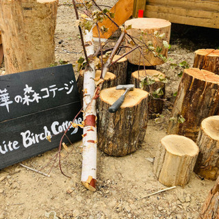 ✨7月より網走にて、アルバイト大募集✨の画像