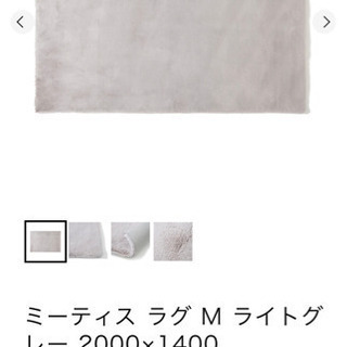ミーティスラグ Mサイズ🦋無料