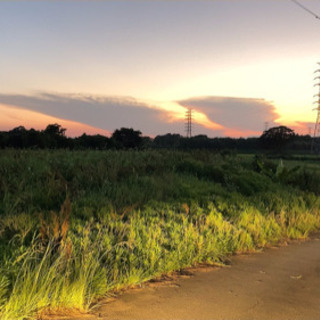 土地貸します キャンプにも